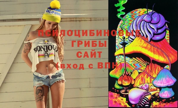 ГАЛЛЮЦИНОГЕННЫЕ ГРИБЫ Бугульма