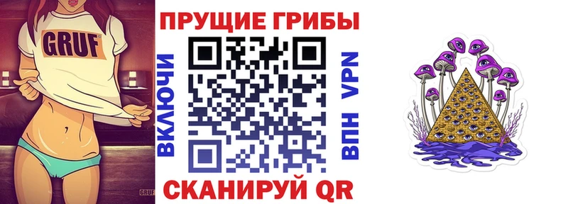 Псилоцибиновые грибы Psilocybe  Купить где  Урус-Мартан 